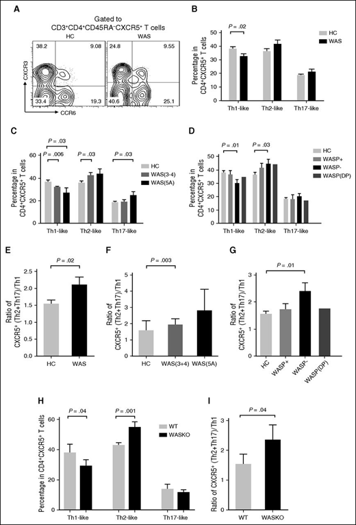 Figure 2. Circulating Tfh subsets are altered in WAS patients. (A) Flow cytometric analysis of CD4+CXCR5+ T-cell subsets in WAS patients and HCs. (B) Percentage of CD4+CXCR5+ T-cell subsets in WAS patients (n = 24; P1-P24) and HCs (n = 24). (C) Percentage of CD4+CXCR5+ T-cell subsets in WAS patients with clinical scores of 3 to 4, 5A and age-matched HCs. (D) Percentage of CD4+CXCR5+ T-cell subsets in WASp-positive, WASp-negative, and WASp double-peak patients and age-matched HCs. (E) Ratio of CXCR5+ (Th2 + Th17)/Th1 cells. (F) Ratio of CXCR5+(Th2 + Th17)/Th1 cells in WAS patients with clinical scores of 3 to 4, 5A and age-matched HCs. (G) Ratio of CXCR5+(Th2 + Th17)/Th1 cells in WASp-positive (WASP+), WASp-negative (WASp−), and WASp double-peak patients (WASp-DP) and age-matched HCs. (H) Percentages of Th1-like, Th2-like, and Th17-like Tfh cells from spleen of WT and WAS KO mice. (I) Ratio of CXCR5+(Th2 + Th17)/Th1 cells from spleen of WT and WAS KO mice.