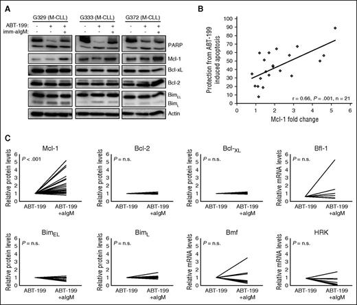 Figure 2. Resistance of BCR-stimulated cells to ABT-199 is associated with Mcl-1 upregulation. (A) CLL cells were cultured for 24 hours with or without ABT-199 or ABT-199 + imm-aIgM. ABT-199 (2 nM) was added 3 hours after imm-aIgM. Cellular extracts were analyzed by immunoblotting with the indicated antibodies. Induction of apoptosis was evaluated by PARP cleavage. Actin was used as a loading control. Three representative cases are shown (G329, G333, G372). (B) Correlation between change in Mcl-1 expression and relative protection from ABT-199–induced apoptosis. The latter was defined as the increase in the percentage of viable cells treated with ABT-199 + imm-aIgM relative to ABT-199 alone (%ViableABT-199+imm-aIgM − %ViableABT-199)/%ViableABT-199+imm-aIgM × 100. Change in Mcl-1 expression was defined as fold change in imm-aIgM–stimulated/ABT-199–treated relative to unstimulated/ABT-199–treated CLL B cells. The relationship between Mcl-1 expression and the capacity of imm-aIgM to protect from ABT-199–induced apoptosis was evaluated through Pearson rank correlation. (C) Differences in expression of Bcl-2 family members between unstimulated/ABT-199–treated and imm-aIgM–stimulated/ABT-199–treated cells. Values represent relative protein levels for Mcl-1 (n = 25), Bcl-2 (n = 9), Bcl-xL (n = 9), BimEL (n = 11) and BimL (n = 11), and relative mRNA levels for Bfl-1 (n = 7), Bmf (n = 8), and Hrk (n = 8). Antiapoptotic proteins are shown in the upper panels, and proapoptotic in the lower panels.