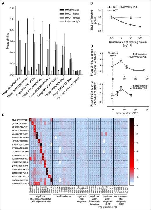 Figure 1. Probing serum transplant immunomes by epitope profiling. (A) Binding of individual epitope-mimicking phage clones to serum antibodies of myeloma patients MM023, MM031, and MM041 in clinical remission as well as to polyclonal control IgG. A nonselected random peptide phage was used as a control. Phage binding was measured by ELISA. (B) Inhibition of phage-antibody interaction by cognate peptide. GST-THMWVWDVSPEL blocks the binding of phage THMWVWDVSPEL to MM031 antibodies. Naked GST was used as a control. (C) Epitope-directed serum reactivity in the pre- and post-HSCT period. Here, we show reactivity against epitope-mimic THMWVWDVSPEL with serum antibodies of patient MM031 and of epitope-mimic ALRMPTMKTFIP with serum antibodies of patient MM023 at different time points before and after allogeneic HSCT. (D) Cross-reactivity of epitope-mimics (selected on serum transplant immunomes) with sera from myeloma patients (before and after allogeneic HSCT), healthy donors, and other hematological patients after allogeneic HSCT. A color key was used to depict binding strength in the heat map. Crosses (×) indicate the selections from which each mimic derives. Ab, antibody; CP, control patient (patients who underwent HSCT due to other hematological diseases); HD, healthy donor; MM, MM patient.