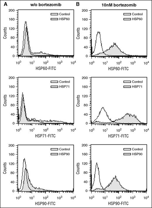 Figure 4. HSPs as targets of the transplant immunome are translocated to the myeloma cell surface translocation after bortezomib treatment. Amo-1 myeloma cells were treated with 10 nM bortezomib for 24 hours followed by flow cytometric staining with HSP60-, HSP71-, and HSP90-directed antibodies (B). Untreated cells served as control (A). Isotype antibody or secondary antibody only served as staining control.