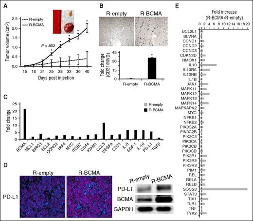 Figure 2. BCMA overexpression enhances MM tumor growth in vivo via upregulation of multiple MM-related genes and immunosuppressive molecules. (A) Mice (n = 6) were injected subcutaneous with equal numbers of R-BCMA (solid line) or R-empty (control vector, dotted line) cells, and tumor development was monitored. *P < .002. Tumors were removed at day 40. (B) Immunohistochemistry for tumor sections with similar volume from additional mice were used for CD31/MVD assessment. Original magnification, ×200. (C) Fold increase in 19 mRNA levels in R-BCMA vs R-empty cells was determined by real-time qRT-PCR. GAPDH and 18S were used as internal controls. (D) Programmed death ligand 1 (PD-L1) increase in R-BCMA vs R-empty cells was further confirmed with immunofluorescence staining (left; PD-L1, pink and DAPI, blue) and immunoblotting (right). (E) RNA of R-BCMA– and R-empty–derived tumors was further assayed for IL-10 pathway-associated genes using TaqMan array human IL10 pathway. Transcripts were normalized by geomean of 4 internal controls, and fold increases in R-BCMA vs R-empty cells are shown.