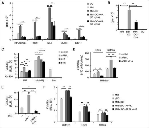Figure 6. 01A inhibits MM cell proliferation and survival induced by osteoclasts, macrophages, and pDCs. (A) MM cell lines (n = 5) and (B) patient MM cells (n = 3) were cultured with osteoclasts (OCs), with or without 01A, followed by DNA synthesis assays. MM cells were cultured with macrophages (Mϕ), in the presence or absence of 01A (20 μg/mL) with or without APRIL, for (C) 1 or (D) 21 days, followed by (C) viability and (D) colony formation assays. Macrophages do not form colonies under these culture conditions. (E) pDCs were purified from patient BM aspirates (n = 3) and incubated with APRIL in the presence of 01A for 2 days. (F) MM cells were cultured with pDCs in the presence of APRIL and 01A for 3 days.