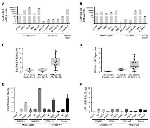 Figure 2. IL-6 but not IL-6R transcription is induced by mutated MYD88. Expression of IL-6 (A) and IL-6R (B) transcripts using TaqMan Gene Expression Assays in MYD88-mutated and MYD88 WT cell lines. The number of healthy donors that were evaluated for nonmemory (open circles) and memory (open triangles) B cells, as well as the number of WM patients that were evaluated for LPC (open diamonds) are shown. IL-6 (C) and IL-6R (D) transcript levels were also determined by TaqMan Gene Expression Assays in primary LPCs (CD19+) from MYD88 L265P expressing WM patients, and HD-derived nonmemory (CD19+CD27−) and memory (CD19+CD27+) B cells. P < .01 for comparison of IL-6 or IL-6R transcript levels in WM LPC vs either HD nonmemory or memory B cells. IL-6 (E) and IL-6R (F) transcription following over-expression of MYD88 L265P or WT protein in cell lines expressing mutated or WT MYD88. Total Flag-tagged MYD88 L265P or WT protein, as well as GAPDH protein levels determined by immunoblotting are shown for all transduced cell lines in Figure 1C.