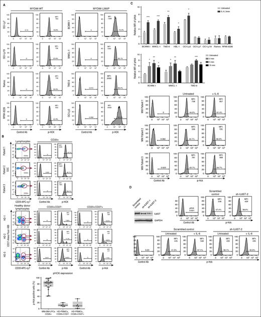 Figure 3. HCK is hyperactive in MYD88-mutated cells, and its activation is triggered by IL-6. (A) Results of Phosflow analysis for phosphorylated (p) HCK (pHCKTyr411) in MYD88-mutated WM (BCWM.1 and MWCL-1) and ABC DLBCL (TMD-8 and OCI-Ly3) cells; MYD88 WT GCB DLBCL (OCI-Ly7 and OCI-Ly19), Ramos Burkitt, and RPMI-8226 myeloma cells. (B) Results of Phosflow analysis for pHCKTyr411 in primary LPCs (CD20+) from 3 representative MYD88 L265P expressing WM patients, as well as nonmemory (CD20+CD27−) and memory (CD20+CD27+) B cells from HDs. Percentage of cells gating for pHCKTyr411 expression are shown in (A-B). Histogram depicts the results of pHCKTyr411 expression in LPC derived from 20 WM patients, as well as nonmemory and memory B cells from 5 HDs. P < .01 for comparison of pHCK expression in WM LPC vs either HD nonmemory or memory B cells. The number of WM patients that were evaluated for LPC (open circles), as well as the number of healthy donors that were evaluated for nonmemory (open diamonds) and memory (open diamonds) B cells are shown. (C) pHCKTyr411 expression in the presence or absence of IL-6 (1 ng/mL) for 5 minutes in MYD88-mutated (BCWM.1, MWCL-1, TMD-8, HBL-1, and OCI-Ly3) and MYD88 WT (OCI-Ly7, OCI-Ly19, Ramos, and RPMI 8226) (top) cell lines, as well as primary WM LPCs. Peak pHCKTyr411 activation was determined by Phosflow analysis after 3 MYD88 mutated cell lines were cultured with IL-6 (1 ng/mL) for 2, 5, and 15 minutes (bottom). *P < .05; **P < .01; ***P < .001 vs untreated controls. (D) Phosflow analysis of pHCKTyr411 in BCWM.1 cells transduced with scrambled control vector or IL-6ST knockdown vector (shRNA2) in the presence or absence of 1 ng/mL of IL-6. Ab, antibody; MFI, mean fluorescence intensity; PBMCs, peripheral blood mononuclear cells; SSC, side scatter.