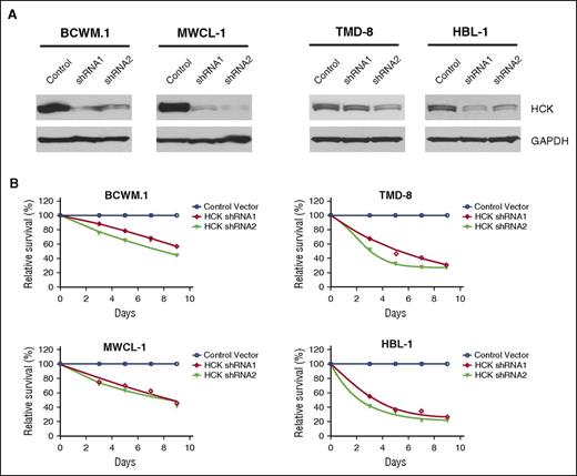 Figure 4. HCK is a determinant of survival in MYD88-mutated cells. (A) HCK protein levels determined by western blot analysis, and (B) survival determined by AlamarBlue cell viability assay over a 9-day evaluation period in MYD88-mutated BCWM.1 and MWCL-1 WM cells (left), and TMD-8 and HBL-1 ABC DLBCL cells (right) following transduction with inducible HCK knockdown (shRNA1 and shRNA2) or scrambled control vectors. Mean of 2 independent experiments is depicted for time points.