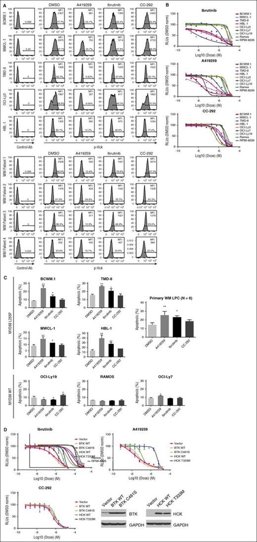Figure 7. HCK activity is blocked by ibrutinib and impacts the survival of MYD88-mutated WM cells. (A) Phosflow analysis showing changes in pHCKTyr411 following treatment of MYD88-mutated WM (BCWM.1 and MWCL-1) and ABC DLBCL (TMD-8, OCI-Ly3, and HBL-1) cells and MYD88-mutated primary LPCs from 4 WM patients with 0.5 μM of A419259, ibrutinib, or CC-292 for 30 minutes. (B) Dose-dependent survival determined by CellTiter-Glo Luminescent Cell Viability Assay for mutated (BCWM.1, MWCL-1, TMD-8, HBL-1, and OCI-LY3) and WT (OCI-LY7, OCI-LY19, Ramos, and RPMI 8226) MYD88 cells following treatment with ibrutinib (top), A419259 (middle), or CC-292 (bottom) for 72 hours. (C) Apoptotic changes using PI and Annexin V (FITC-A) staining following treatment of mutated and WT MYD88 cell lines, and primary LPCs from 3 WM patients with 0.5 μM of A419259, ibrutinib, or CC-292 for 18 hours. DMSO denotes vehicle control only treated cells. Cell line results are from experiments performed in triplicate. Primary LPC data are from results obtained from 6 WM patients. *P ≤ .05 and **P ≤ .01 vs DMSO controls. (D) Dose-dependent tumor cell survival of MYD88-mutated BCWM.1 cells transduced with control vector or vectors expressing WT BTK (BTK WT); BTK-expressing mutated site for ibrutinib binding (BTK C481S); WT HCK (HCK WT); or HCK-expressing the gatekeeper mutation (HCKT333M; HCKT338M based on c-SRC numbering)15 and treated with ibrutinib, A419259, or CC-292. Protein levels following transduction with control, WT, or mutated BTK or HCK vectors are also shown at the bottom of (D). FITC-A, fluorescein isothiocyanate A; RLU, relative luminescence units.
