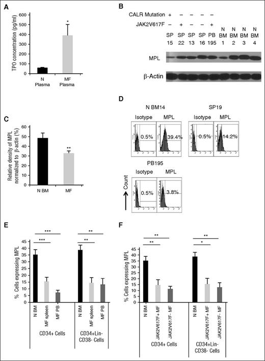 Figure 1. TPO concentrations in MF and normal plasmas, as well as MPL expression by MF and normal CD34+ cells. (A) TPO levels in MF and normal plasmas were measured using an enzyme-linked immunosorbent assay as described in supplemental Methods. The TPO concentration was significantly increased in MF plasma as compared with normal plasma. N plasma: n = 6; MF plasma: n = 13. (B) The expression of MPL by primary normal BM and MF CD34+ cells was determined by western blotting with a polyclonal Ab raised against the C-terminal amino acids of MPL. (C) Densitometric analysis of western blots as represented by (B) shows that the total level of MPL protein was reduced by 34% in MF CD34+ cells as compared with normal BM CD34+ cells. MF: n = 9; N BM: n = 6. (D-F) Expression of MPL on primary normal BM and MF CD34+ cells was evaluated by flow cytometry using a mAb, which specifically identifies the extracellular domain of MPL. (D) Representative flow cytometric plot showing MPL expression by normal BM (N BM14), MF splenic (SP19), and PB (PB195) CD34+ cells. (E) MPL expression was significantly reduced on MF splenic and PB CD34+ cells and CD34+Lin− CD38− cells, as compared with normal BM counterparts. (F) Moreover, JAK2V617F+ and JAK2V617F− MF CD34+ cells and CD34+Lin−CD38− cells showed a similar degree of reduction of MPL expression. *P < .05; **P < .01; ***P < .001. N BM: n = 8; MF splenic: n = 11; MF PB: n = 7; JAK2V617F+ MF: n = 9; and JAK2V617F− MF: n = 9. N BM, normal BM; N plasma, normal plasma; SP, splenic.