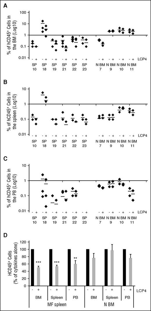 Figure 5. LCP4 treatment affects splenic MF stem cells but spares normal BM stem cells. (A-C) HCD45+ cell chimerisms in the BM (A), spleen (B), and PB (C) of individual mice receiving splenic MF or normal BM CD34+ cells treated with cytokines alone or cytokines plus LCP4 are shown. The percentages of hCD45+ in the BM, spleen, and PB of each individual mouse (♦) and the mean of the percentage of hCD45+ cells (horizontal bars) are shown. (D) The percentage of hCD45+ cell chimerism in the BM, spleen, and PB of mice receiving splenic MF or normal BM CD34+ cells treated with cytokines plus LCP4, relative to that detected in mice receiving cells treated with cytokines alone. **P < .01; ***P < .001. MF spleen: n = 6. SP10 and SP19: 3 mice transplanted; SP18, SP21, and SP22: 4 mice transplanted; and SP23: 2 mice transplanted due to the limited number of CD34+ cells available. N BM: n = 4, 2 mice transplanted for each sample due to the limited number of CD34+ cells available. Equal numbers of mice were transplanted with each MF spleen and normal BM sample with or without treatment with LCP4. N BM, normal BM; SP, splenic.