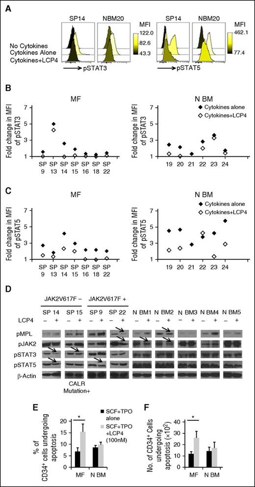 Figure 6. Mechanisms underlying the inhibitory effects of LCP4 treatment on MF CD34+ cells. (A-C) pSTAT3 and pSTAT5 levels in MF and normal BM CD34+ cells measured using phospho-flow cytometric analysis. (A) Representative flow cytometric plots showing pSTAT3 (left) and pSTAT5 (right) levels in MF splenic (SP14) and normal BM20 CD34+ cells. (B-C) Fold change in MFI of pSTAT3 (B) and pSTAT5 (C) for CD34+ cells from each MF spleen or normal BM, which was calculated using the equation: MFICytokines Alone / MFINo Cytokines or MFICytokines + LCP4 / MFINo Cytokines. Cytokines alone vs cytokines + LCP4: pSTAT3: MF and N BM: P for both > .05; pSTAT5: MF: P < .05; N BM: P > .05. (D) pMPL, pJAK2, pSTAT3, and pSTAT5 levels measured using western blotting in splenic MF CD34+ cells from 1 JAK2V617F− and CALR mutation− (SP14), 1 JAK2V617F− but CALR mutation+ (SP15), and 2 JAK2V617F+ (SP9 and SP22) patients following treatment with cytokines alone or cytokines + LCP4. As indicated by arrows, LCP4 treatment resulted in the inhibition of pMPL, and/or pJAK2, pSTAT3/5 levels to varying degrees in both JAK2V617F+ and CALR mutation+ MF CD34+ cells, whereas only limited inhibition of TPO/MPL and JAK-STAT activity was observed with normal BM CD34+ cells. (E-F) Both the percentage (E) and absolute number (F) of CD34+ cells that were Annexin V+ and PI− were greater in cultures of splenic MF CD34+ cells treated with cytokines plus LCP4 as compared with cells treated with cytokines alone. *P < .05. Splenic MF: n = 8; N BM: n = 6. N BM, normal BM.