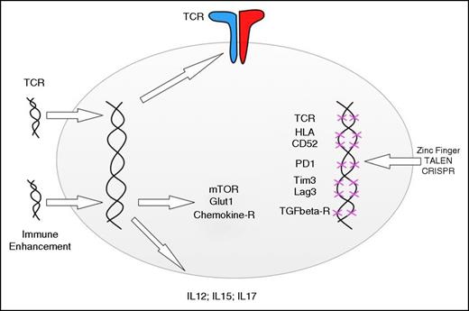 Figure 4. Adding and deleting genes to enhance T-cell function. Retro- and lentiviral gene transfer can be used to redirect the specificity of T cells and the metabolic functions, response to chemokines, and cytokine secretion. Gene disruption technologies can be used to delete endogenous TCR genes, HLA genes, and genes involved in negative T-cell regulation. The indicated genes are simply examples, and the editing technologies can be applied to add or disrupt any gene involved in T-cell function.