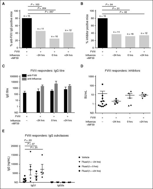 Figure 4. The effects of intramuscular immunization against influenza, with the adjuvant MF59, on FVIII immunogenicity. Mice were immunized intramuscularly with a scaled standard human dose (4.8 μg/kg) within 24 hours of the first of 7 rhFVIII (6 IU, ∼240 IU/kg) infusions. Blood was collected by cardiac puncture 4 weeks later and plasma was isolated by centrifugation. (A) Incidence of FVIII-specific IgG. Total cohort sizes are indicated above each bar. (B) Incidence of inhibitors. (C) Comparison of influenza- and FVIII-specific IgG titers among FVIII responders. (D) Comparison of inhibitory activity among FVIII responders. (E) Anti-FVIII IgG subclasses IgG1 and IgG2a among FVIII responders. The horizontal lines and error bars represent the mean and SEM.