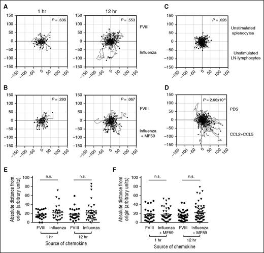 Figure 6. Comparison of naïve splenocyte chemotaxis in response to media from influenza vaccine-stimulated LN lymphocytes and FVIII-stimulated splenocytes. Chemokine gradients were generated by stimulating splenocytes and LN-lymphocytes with FVIII (1 μg/mL) or influenza with and without MF59 (1 μg/mL) for 18 hours. Chemotaxis competition of converging gradients were imaged overnight between FVIII and influenza (A) and FVIII and influenza with MF59 (B). (C) Media from unstimulated splenocytes and LN-lymphocytes were assessed as a negative control. (D) CCL2 (10 μg/mL) and CCL5 (20 μg/mL) gradients were assessed as a positive control. The vertical components traveled by T cells were analyzed for FVIII and influenza competition (E) and FVIII and influenza with MF59 (F) in a representative assay. Statistical analysis was conducted using Rayleigh’s test and Mann-Whitney U test for trajectory plots and distance traveled, respectively. Data representative of at least 3 independent experiments. Horizontal line and error bars represent mean and SEM, respectively.
