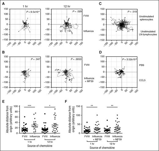 Figure 7. Comparison of CD4+ T-cell chemotaxis in response to media from influenza vaccine-stimulated LN lymphocytes and FVIII-stimulated splenocytes. Chemokine gradients were generated by stimulating splenocytes and LN-lymphocytes with FVIII (1 μg/mL) or influenza with and without MF59 (1 μg/mL) for 18 hours. CD4+ T-cell chemotaxis competition of between converging gradients were imaged overnight between FVIII and influenza (A) and FVIII and influenza with MF59 (B). (C) Media from unstimulated splenocytes and LN-lymphocytes were assessed as a negative control. (D) A CCL5 (20 μg/mL) gradient was assessed as a positive control. The vertical components traveled by T cells were analyzed for FVIII and influenza competition (E) and FVIII and influenza with MF59 (F). Statistical analysis was conducted using Rayleigh’s test and Mann-Whitney U test for trajectory plots and distance traveled, respectively. Data representative of at least 3 independent experiments. *P < .05; **P < .01; ***P < .001.