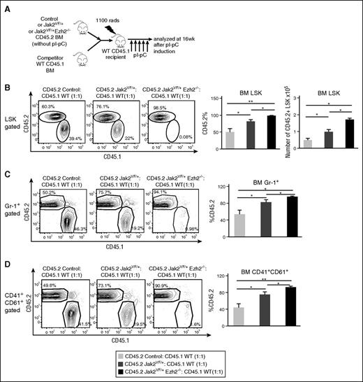 Figure 5. Loss of Ezh2 enhances repopulation capacity of Jak2V617F HSC and promotes myeloid cell expansion. (A) Competitive reconstitution assay. BM cells (5 × 105) from uninduced control, Jak2VF/+, or Jak2VF/+ Ezh2−/− mice (CD45.2+) were mixed with wild-type CD45.1+ mice BM (5 × 105) at a 1:1 ratio and transplanted into lethally irradiated CD45.1 recipient mice. Four weeks after BMT, recipient mice were treated with 5 doses of pI-pC to induce Ezh2 deletion and Jak2V617F expression simultaneously after hematopoietic reconstitution. The recipient mice were analyzed at 16 weeks after pI-pC injection. (B) The percentages and total numbers of donor-derived (CD45.2+) LSK cells, (C) percentages of CD45.2+ Gr-1+ myeloid cells, and (D) percentages of CD45.2+CD41+CD61+ megakaryocytic cells in the BM of recipient animals at 16 weeks after pI-pC induction are shown; bar graphs represent mean ± SEM (control, n = 5; Jak2VF/+, n = 5; Jak2VF/+ Ezh2−/−, n = 6). One-way ANOVA was used for comparisons of all 3 groups of mice, and the Student t test was used to compare between 2 groups of mice (*P < .05; **P < .005).