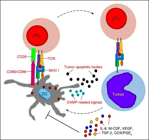 Figure 1. Tumor-associated DC dysfunction. Tumor cells and the tumor microenvironment can cause quantitative and qualitative defects in DCs, which are mostly mediated by soluble factors. CTL, cytotoxic T lymphocyte; M-CSF, macrophage colony-stimulating factor; MHC I, major histocompatibility complex class I; TCR, T-cell receptor.