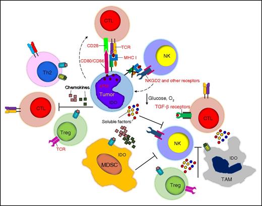 Figure 3. Tumor-associated immune-suppressive cells, soluble factors, and immune cell metabolism. Tumor cells are surrounded by several cell subsets including Tregs, TAMs, and MDSCs, which hamper the function of cytotoxic T cells and NK cells. Chemokines play a critical role in recruiting inhibitory cells, whereas soluble factors such as TGF-β, nutrient deprivation, and hypoxia impair the proliferation and function of effector cells.