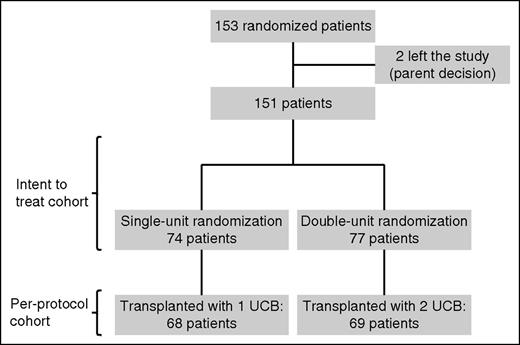 Figure 1. Flowchart of the randomized cohort.