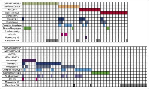 Figure 1. Overview of cytogenetic aberrations and aberrations found in the karyotypes of pediatric AMKL (n = 153). Each column represents a single case. A colored cells means positive for the aberration corresponding with that particular row. X indicates that the karyotype is not available, the only information given is hyperdiploid, or complex karyotype. -13/13q, monosomy 13 or del(13q); NA, not available.
