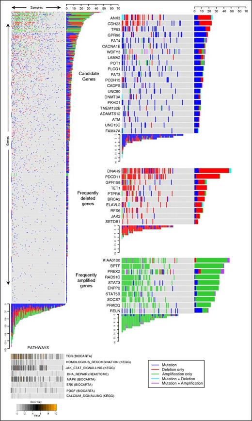 Figure 4. Genomic data of 549 genes from 101 Sézary tumors identifies candidate driver genes. Heat map showing all genes (y-axis) and all tumors (x-axis) (left); pathways identified as frequently perturbed are aligned below the main panel (bottom). The color code represents the percentage of mutationally perturbed genes in each tumor sample for each pathway. Candidate driver genes showing high frequencies of SNVs (top right), frequently deleted genes (middle right), and frequently amplified genes (bottom right) are subsetted from the main panel.