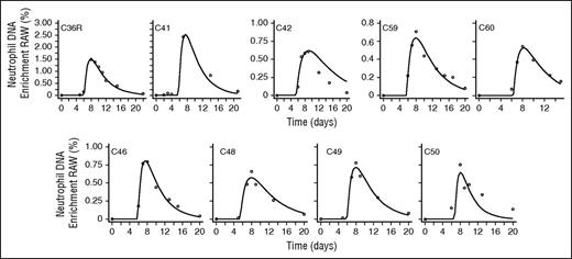Figure 2. Best model fits to neutrophil DNA enrichment data in subjects labeled with deuterium-labeled glucose. Subjects were labeled with deuterium-labeled glucose (6,6-2H2-glucose) for 10 hours (C36R and C41), 4 hours (C42), 3 hours (C46, C48, C49, and C50), or as a single oral dose (C59 and C60). Circles represent measured fractional enrichment of deoxyadenosine in blood neutrophil DNA; lines represent best fits of the model (Equations 5 and 6) to the data.