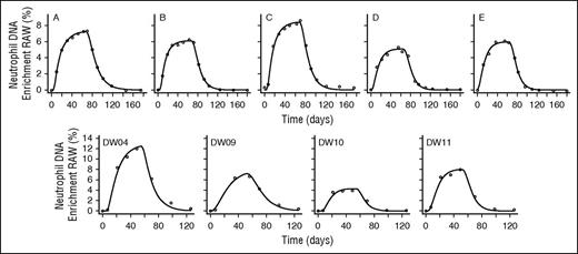 Figure 3. Best model fits to neutrophil DNA enrichment data in subjects labeled with heavy water. Subjects were labeled with heavy water (2H2O) for 9 weeks (subjects A, B, C, D, E from Vrisekoop et al15) or 7 weeks (subjects DW04, DW09, DW10, and DW11 from the current study’s data). Circles represent measured fractional enrichment of deoxyadenosine in blood neutrophil DNA; lines represent best fits of the model (Equations 5 and 6) to the data.