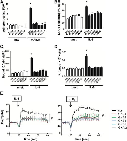 Figure 1. Downregulation of GNB isoforms or GNAI2 strongly affects LFA-1 function. HL60 cells transduced with a nonsilencing scrambled (scr) construct or with shRNAs against GNB1, GNB2, GNB4, GNB5, or GNAI2 were used. (A) Number of adherent cells per field of view (FOV) in the adhesion flow chamber. Chambers were coated with P-selectin, IL-8, and either a control IgG antibody or with the reporter mAb24 recognizing high-affinity LFA-1 (n = 4 experiments). *P < .05 vs all other groups. (B) Transduced HL60 cells were left untreated or were stimulated with IL-8, fixed with paraformaldehyde (4%), and stained with anti-CD11a and AF488-labeled secondary antibody to visualize clustered LFA-1 (n = 3 experiments). *P < .05 vs all other groups. (C) Flow cytometry analyzed allophycocyanin (APC)-labeled ICAM-1 binding in unstimulated (unst.) or IL-8 (100 ng/mL) stimulated cells (n = 4 experiments). *P < .05 vs all other groups. (D) Cells were left unstimulated or were stimulated with IL-8 (100 ng/mL, 3 minutes). The reaction was stopped by adding trichloroacetic acid, which was later removed by adding 1,1,2-trichloro-trifluoroethane-trioctylamine. The aqueous IP3-containing supernatant was used for a competitive radioreceptor assay. Bars indicate IP3 concentration in picomoles per 1 × 107 HL60 cells (n = 3 experiments). *P < .05. (E) Concentration of intracellular calcium measured in Indo-1-labeled HL60 cells before and after chemokine stimulation. Arrow indicates IL-8 or LTB4 stimulation (n = 4 experiments). #P < .05 vs all other groups. MFI, mean fluorescent intensity.
