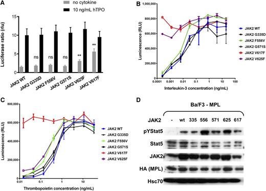 Figure 4. Functional analysis of JAK2 mutants. (A) STAT-dependent transcriptional activity induced by wild-type JAK2 or mutants of JAK2. γ2A cells which are JAK2-deficient were transiently transfected with wild-type JAK2 (or wild-type JAK2 and mutant JAK2 at a 1:1 ratio to represent heterozygous condition), MPL, STAT5, and with Firefly STAT5 luciferase reporter spi-Luc and pRL-TK vector coding for Renilla luciferase. Luminescence was measured 24 hours after transfection. After transfection, medium was changed after 5 hours and replaced either with culture medium or medium supplemented with TPO (10 ng/mL). Shown are means ± SEM of 3 independent experiments done in triplicate. **P < .001; *P < .05. (B-C) The viability of Ba/F3 cells expressing wild-type MPL together with wild-type JAK2 or different mutants was assessed after 72 hours in the presence of increasing concentrations of IL-3 (B) and TPO (C). Error bars represent SEM. (D) The activation of STAT5 in starving condition. Ba/F3 cells expressing the wild-type MPL only, or together with wild-type JAK2 or JAK2 mutants were cultured for 48 hours on TPO (1 ng/mL) and then starved for 4 hours in serum-free medium without TPO. Western blot was performed on the cell lysates with antibodies against pYSTAT5, STAT5, hemagglutinin-tag (HA), and JAK2. An antibody against Hsc70 was used as loading control.