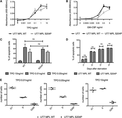 Figure 3. MPLS204P does not present proliferative advantage in bulky cultures. (A-B) Cell proliferation induced by TPO of MPLWT and MPLS204P UT7 cells. Cells were cultured in the presence of various concentrations of TPO (A) or GM-CSF (B) for 72 hours. Viable cells were quantified by WST-1 proliferation assay. Dose-response curves are means ± SEM (n = 3 in triplicate). (C-D) Apoptosis analysis in MPLWT and MPLS204P UT7 cells. (C) Cells were cultured for 2 days with various concentration of TPO (0.01, 0.05, and 10 ng/mL) and the percentage of apoptotic cells (Annexin V positive) was analyzed by flow cytometry using the Annexin V assay. (D) Cells were cultured for 24 hours with TPO (10 ng/mL) followed by overnight deprivation. The percentage of apoptotic cells (Annexin V-positive) was analyzed at different times after TPO removal (1, 2, 3, and 4 days). (E) Cell-cycle analysis of MPLWT and MPLS204P UT7 cells. Cells were cultured for 2 days with various concentrations of TPO (0.01, 0.05, and 10 ng/mL) and the percentage of cells in G1, S, and G2 phases were determined after propidium iodide labeling, by flow cytometry analysis. SEM, standard error of the mean.