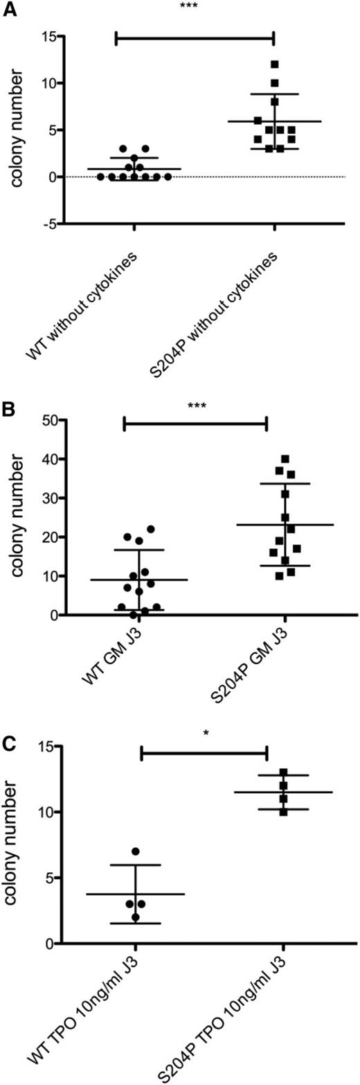 Figure 5. UT7 MPL S204P cells are less cytokine-dependent than UT7 MPL WT. (A) Growth of UT7 MPLS204P and UT7 MPLWT at limiting dilution without cytokines. Cells (20 per well) were cultured without cytokines in a 96-well plate. Colony growth was counted 1 week later. (B) Rescue experiments by GM-CSF. Cells (20 per well) were cultured without cytokines in a 96-well plate. After 3 days, GM-CSF (5 ng/mL) was added and colonies were counted 1 week later. (C) Rescue experiments by TPO. Cells (20 per well) were cultured without cytokines in a 96-well plate. After 3 days, TPO (10 ng/mL) was added and colonies were counted 1 week later. Results represent the means ± SD of the number of colonies/96-well plate. Each point corresponds to the number of clone in 1 plate.