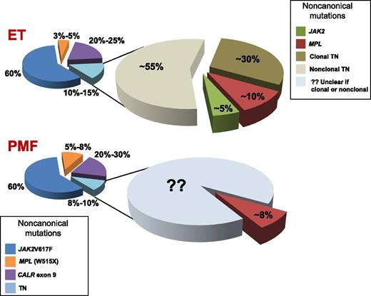 The current genetic landscape concerning phenotypic driver mutations in MPN.