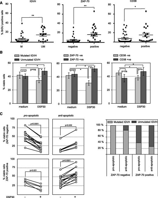 Figure 1. ZAP-70 discriminates responses of CLL cells to TLR9 stimulation. (A) S-phase passage of TLR9-stimulated CLL cells assessed after 10 days of DSP30 treatment. Percentages of cells positive for 5-bromo-2′-deoxyuridine (BrdU) were analyzed in relation to IGVH mutational state (n = 48), ZAP-70 subsets (n = 56), or CD38 subsets (n = 56). Each dot represents an individual patient, and the horizontal bar represents the median ± standard deviation (SD). (B) Survival of DSP30-stimulated CLL cells assessed by determining the percentages of annexin-V/propidium iodide–negative cells in n = 57 purified patient samples treated with or without DSP30 for 72 hours. Results were analyzed in relation to IGVH mutational state (n = 48), ZAP-70 subsets (n = 57), or CD38 subsets (n = 56). Data are presented in a bar diagram as the mean ± standard error of the mean (SEM). (C) Patient samples were considered “responders” if difference in viability compared with untreated control was ≥10%. Responders (70% of all samples tested) were analyzed in relation to ZAP-70 subsets and discriminated between proapoptotic (n = 19) and antiapoptotic (n = 20) response to TLR9 stimulation. Each line shows an individual patient. Accordingly, the distribution of IGVH mutation status among these 4 subsets is depicted on the right panel. (A-C) Statistical analyses of the results were performed by 1-way analysis of variance followed by Student t test. P values are indicated by asterisks: ****P < .0001; ***P < .001; **P < .01; *P < .05.