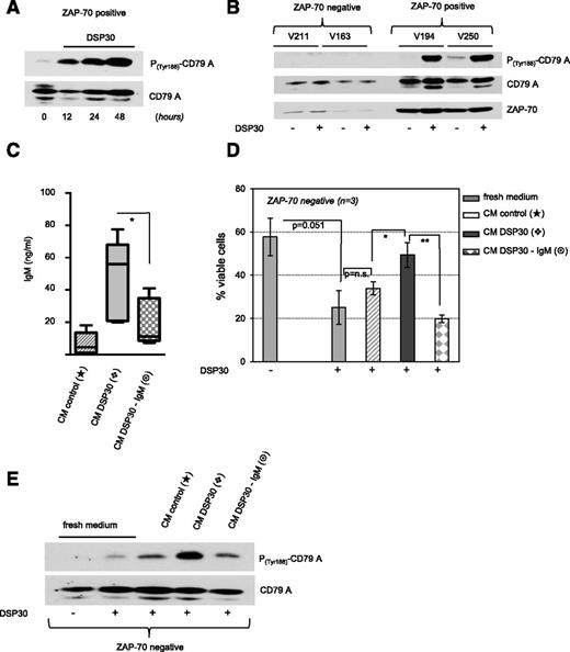 Figure 4. Secreted IgM activates BCR signaling in TLR9-stimulated CLL. (A-B) Tyrosine-based activation of CD79A in DSP30-stimulated CLL cells cultured for the time as indicated. Comparison of ZAP-70–negative and ZAP-70–positive patient samples (encrypted and anonymized by V numbers) after 48 hours is depicted in panel B. (C) Concentrations of sIgM in CM derived from untreated (CM control) and DSP30-stimulated Zap-70–positive CLL cells before (CM DSP30) and after (CM DSP30-IgM) IgM depletion was performed. Data are presented in a bar diagram as the mean ± SEM of n = 4 patient samples. P values are indicated by asterisks: *P < .05. (D) Viability of DSP30-stimulated ZAP-70–negative B-CLL cells cultured in fresh media or in the respective CM derived from Zap-70–positive patient samples as shown in panel C. Data are presented as the mean ± SD of n = 3 patient samples in a bar diagram. P values are indicated by asterisks: **P < .01; *P < .05. (E) Activation of CD79A in DSP30-stimulated ZAP-70–negative B-CLL cells cultured in fresh media or in the respective CM derived from Zap-70–positive cells as shown in panel C. Data show western blot analysis of 1 representative patient sample out of n = 2 tested.