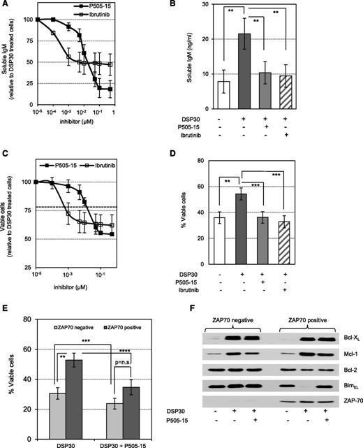 Figure 6. BCR inhibitors completely abrogate TLR9 responses in ZAP-70–positive CLL. (A) IgM secretion by Zap-70–positive CLL cells stimulated with DSP30 for 48 hours in the presence of increasing doses P505-15 or ibrutinib, respectively. Curves represent the mean ± SEM of n = 3 patient samples relative to IgM levels in the absence of inhibitors. (B) sIgM production of Zap-70–positive CLL cells stimulated with DSP30 for 48 hours with or without cotreatment of 30 nM P505-15 or ibrutinib, respectively. Data are presented as the mean ± SEM of n = 10 patient samples in a bar diagram. Asterisks indicate P values: **P < .01. (C) Viability of Zap-70–positive CLL cells stimulated with DSP30 for 48 hours in the presence of increasing doses P505-15 or ibrutinib, respectively. Curves represent the mean ± SEM from n = 3 (DSP30 stimulated) patient samples relative to cells cultured without inhibitor. The dotted line indicates the dose of inhibitor required to reach viability of unstimulated cells. (D) Viability of Zap-70–positive CLL cells stimulated with DSP30 for 48 hours in the absence or presence of 30 nM P505-15 or ibrutinib, respectively. Data are presented as the mean ± SEM of n = 10 patient samples in a bar diagram. P values are indicated by asterisks: **P < .01; ***P < .001. (E) Viability of DSP30-stimulated CLL cells cultured with or without 30 nM P505-15 in ZAP-70 subgroups. Data are presented in a bar diagram as the mean ± SEM of n = 24 patient samples. P values are indicated by asterisks: ****P < .0001; ***P < .001; **P < .01; *P < .05. (F) Expression profile of BH3 proteins in CLL cells stimulated with DSP30 for 48 hours in the presence or absence of 30 nM P505-15. Data show western blot analyses of 2 representative patient samples out of n = 5 tested.