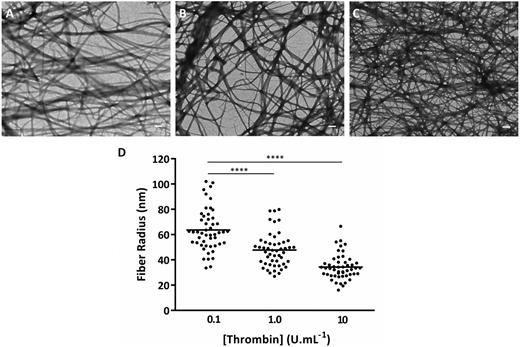 Figure 1. Thrombin effects on fibrin clot network and fibrin fiber size. Transmission electron microscopy images under dried conditions of fibrin clots made with human plasminogen-depleted IF-1 purified fibrinogen (1 mg/mL), CaCl2 (2.5 mM), and thrombin at concentrations of (A) 0.1, (B) 1.0, and (C) 10 U/mL. Scale bars, 500 nm. (D) Fibrin fiber radius obtained by measurement of n = 50 fibrin fibers at 0.1, 1.0, and 10 U/mL thrombin. The individually plotted data represent the dispersion of the fiber size within the clot, and the bar represents the mean value. Statistical significance, using a 1-way analysis of variance (ANOVA), is denoted with ****P < .001 for comparison between 0.1 U/mL and the remaining thrombin concentrations.