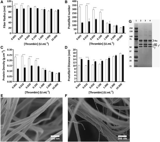 Figure 5. Effect of γ′ on the molecular structure of fibrin fibers over a range of thrombin concentrations. Fibrin was made with 1 mg/mL purified γA/γA (white bars) or γA/γ′ (black bars) fibrinogen, 2.5 mM CaCl2, and a range of thrombin concentrations. (A) Fibrin fiber radius. (B) Number of protofibrils within fibrin fibers. (C) Protein density of fibrin fibers. (D) Distance between protofibrils inside the fibrin fibers. (E) Cold field scanning electron images of γA/γA and (F) γA/γ′ fibrin fibers both produced with 1 mg/mL fibrinogen, 0.1 U/mL thrombin, and 10 mM CaCl2 (scale bars, 200 nm). (G) Polyacrylamide gel electrophoresis of fibrinogen. Lane 1, molecular marker (kDa); lane 2, γA/γA fibrinogen; lane 3, γA/γ′ fibrinogen; lane 4, human plasminogen-depleted IF-1 purified fibrinogen. The results represent the mean values ± SD, n = 3. Statistical significance, using a 2-way ANOVA, is denoted with ***P < .005 and ****P < .001 for comparison between γA/γA and γA/γ′ at each thrombin concentrations.