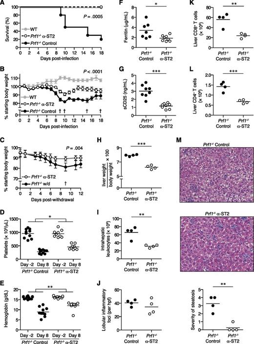 Figure 3. ST2 blockade reduces morbidity and mortality of FHL2 mice. Prf1−/− mice were infected with LCMV to induce FHL2 and treated with either α-ST2 or control antibodies. (A) Survival of α-ST2-treated mice (n = 9) and control mice (n = 10). Representative of 2 independent experiments. Analyzed by log-rank (Mantel-Cox) test. LCMV-infected WT mice (n = 4) are included for visual comparison. (B) Body weight of α-ST2-treated mice and control mice. Symbols represent mean ± standard error of the mean of 9 to 10 mice. The dagger symbol indicates time points at which control mice died and were excluded from subsequent weight analysis. Representative of 2 independent experiments. Analyzed by linear mixed-effects model to allow for missing data due to mouse mortality: treatment and body weight were modeled as fixed effects, and individual mice were treated as a random effect to account for baseline variability between animals (eg, intercept only). Significance of interaction term (α-ST2 vs control over time) is indicated. LCMV-infected WT mice (n = 4) are included for visual comparison. (C) Body weight of Prf1−/− mice withdrawn from α-ST2 treatment and switched to control antibody at day 18 p.i. or receiving continued α-ST2 treatment. Symbols represent mean ± standard error of the mean of 4 to 5 mice. The † symbol indicates the time point at which 1 withdrawal (w/d) mouse died and was excluded from subsequent weight analysis. Analyzed by linear mixed-effects model as in panel B; significance of interaction term (α-ST2 vs w/d over time) is indicated. Platelet counts (D) and hemoglobin levels (E) in peripheral blood of α-ST2-treated Prf1−/− mice (n = 9) and control Prf1−/− mice (n = 10) 2 days prior to infection and 8 days p.i. Representative of 2 independent experiments. Analyzed by repeated-measures 2-way ANOVA; significance of interaction term (α-ST2 vs control over time) is indicated. Ferritin (F) and soluble CD25 (sCD25) levels (G) in serum 8 days p.i. Data pooled from 2 independent experiments, n = 7 to 8 mice per group. (H-M) Liver pathology in α-ST2-treated Prf1−/− mice (n = 4) and control Prf1−/− mice (n = 4) 8 days p.i. Representative of 2 independent experiments. Analyzed by Student 2-tailed t test. (H) Liver weight, expressed as a ratio of total body weight. (I) Total numbers of intrahepatic leukocytes. (J) Numbers of lobular inflammatory foci per ×20 objective high-power field (hpf), enumerated from hematoxylin and eosin (H&E)-stained tissue sections. Total numbers of intrahepatic CD8+ T cells (K) and CD4+ T cells (L), as measured by flow cytometry. (M) Representative H&E-stained liver sections, original magnification ×200. Severity of microvesicular steatosis was assessed on day 8 p.i. using a standardized scoring system as follows: 0, absent; 1, 1% to 20% of area per ×20 objective hpf; 2, 21% to 40%; 3, 41% to 60%; 4, 61% to 80%; 5, 81% to 100%. *P < .05; **P < .01; ***P < .001.