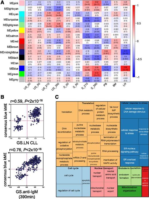 Figure 1. Analysis of gene-expression networks using WGCNA. (A) Correlations between consensus modules identified by WGCNA and specific experimental conditions. The y-axis shows the 14 consensus modules that were randomly assigned different colors for identification, and the x-axis shows the 11 experimental conditions defined within the 2 GEP studies.11,18 The heat map shows the correlation between the expression of each module’s eigengene and experimental condition; cells show correlation coefficient (top) and corresponding P value (bottom). Cells are color-coded using correlation values according to scale on the right. For the Vallat et al study: S, anti-IgM stimulated; US, no stimulation. Time of stimulation (60, 90, 210, and 390 minutes) is indicated. For the Herishanu et al study, the source of the sample is shown. BM, bone marrow; LN, lymph node; PB, peripheral blood. (B) Correlations between kME and fold difference in expression between LN compared with other sites (top) and after anti-IgM stimulation in vitro (bottom) for the 344 genes comprising the blue module. (C) “TreeMap” view of over-represented GO terms in the blue module, generated using REVIGO. Each rectangle represents a cluster of related GO terms. The representatives are joined into “superclusters” of loosely related terms, visualized with different colors. Size of the rectangles reflects Benjamini-Hochberg adjusted P values.