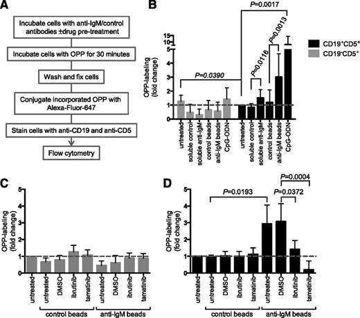 Figure 3. Analysis of mRNA translation using OPP labeling. (A) Overview of experimental procedure for OPP labeling. (B) CLL samples (n = 13) were treated with soluble anti-IgM or anti-IgM beads, control antibodies, or CpG-ODN2006 or left untreated for 24 hours before OPP labeling. Graphs show fold increase in OPP labeling (means ± SEM) in CLL (CD19+CD5+) and T cells (CD19–CD5+), with values for untreated CLL cells set to 1.0. Statistical comparisons between untreated CLL and T cells, and between control and anti–IgM-treated CLL cells are shown (Student t test). (C-D) As in (B), except cells were pretreated for 1 hour with ibrutinib (n = 5) or tamatinib (n = 5), or DMSO was used as a control, before the addition of anti-IgM/control antibodies. The graphs show fold increase in OPP labeling (means ± SEM) for T cells (C) and CLL cells (D), with values for untreated cells set to 1.0. Statistical comparisons between groups are shown (Student t test).