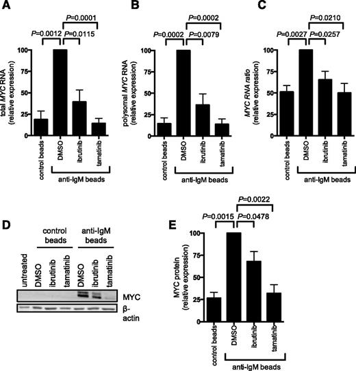 Figure 5. Anti-IgM regulation of MYC mRNA transcription and translation. CLL samples were pretreated for 1 hour with ibrutinib or tamatinib, or DMSO as a control, and then incubated with anti-IgM or control beads for 24 hours. (A-C) Monosome- and polysome-associated MYC mRNA was quantified using quantitative polymerase chain reaction; the graphs show total MYC mRNA (monosomal plus polysomal) (A), polysome-associated MYC mRNA (B), and polysome/monosome ratio for MYC mRNA (C) for ibrutinb (n = 5) and tamatinib (n = 6). (D-E) MYC and β-actin (loading control) protein analysis by immunoblotting. (D) Representative immunoblots and (E) quantitation of multiple experiments for 4 samples. The graphs show mean fold increases (± SEM), with values for anti–IgM/DMSO-treated cells set at 100%. Statistical comparisons between anti–IgM/DMSO-treated cells are shown (Student t test).