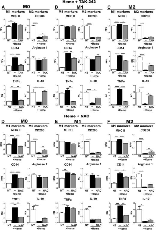 Figure 4. The TLR4 inhibitor TAK-242 and the antioxidant NAC attenuate heme-induced M1 polarization of macrophages. (A,D) M0, (B,E) M1, and (C,F) M2 BMDMs were left untreated (NT) or exposed to 5 μM heme-BSA (+Heme; heme-BSA 1:1 ratio) with or without (A-C) 400 nM TAK-242 and (D-F) 2 mM NAC for 12 hours. M1 and M2 markers are shown in the left and right column of each panel, respectively. The expression of MHCII, CD14, and CD206 was analyzed by flow cytometry and expressed in RFU as fold change to nontreated (NT) cells. mRNA levels of TNFα, Arginase-1, and IL-10 were analyzed by qRT-PCR and expressed in RQ, as fold change to untreated (NT) cells. Results shown are representative of 3 independent experiments. Values represent mean ± SEM. *P < .05; **P < .01; ***P < .001; ****P < .0001.