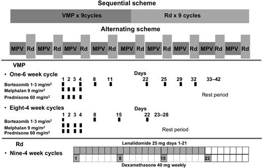 Figure 1. Study design and schedule of treatment.