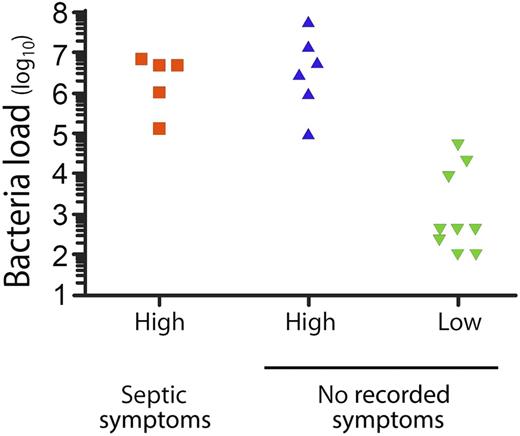 Correlation of high (>105) and low (<105) platelet bacterial load (in CFUs per mL) with documented overt symptoms of sepsis after transfusion. This figure has been adapted from Figure 1 in the article by Hong et al that begins on page 496.