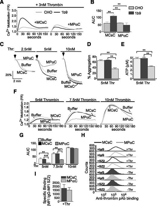 Figure 2. The effect of an inhibitor of 14-3-3–GPIb interaction on thrombin-induced cellular responses in GPIb-expressing CHO cells and platelets. (A) CHO cells or CHO cells expressing GPIb-IX were loaded with a calcium-sensitive dye (FLIPR Calcium 5) and then treated with MPαC or scrambled control peptide prior to stimulation with 3 nM thrombin. Thrombin-induced calcium responses were determined as in Figure 1. (B) Quantification of data shown in A (mean ± SEM, 3 experiments; **P < .01, 1-way ANOVA). (C) Thrombin-stimulated aggregation of human platelets pretreated with the MCsC (control), MPαC micellar peptide, or buffer alone (no peptide treatment). (D) Quantitative data of 4 aggregation experiments as shown in C (mean ± SEM). (E) Thrombin-stimulated ATP release (mean ± SEM, 4 experiments; *P < .05 and **P < .01, t test). (F) Thrombin-induced calcium mobilization in human platelets pretreated with MCsC, MPαC, or buffer alone. (G) Quantification of the area under the curves (AUC) as shown in F (mean ± SEM, 3 experiments; **P < .01, and ***P < .001, 1-way ANOVA). (H) Stacked fluorescence histograms of 3 nM S195A thrombin binding to washed human platelets pretreated with 10 μM MPαC or control peptide MCsC as analyzed with flow cytometry using a goat antithrombin antibody and an Alexafluor 488–labeled anti-goat IgG antibody. Prior to thrombin addition, samples were preincubated with IgG or SZ2 to verify GPIb-dependent thrombin binding. Thr, 3 nM S195A thrombin. (I) Quantification of specific binding of thrombin to MCsC or MPαC-treated platelets (mean ± SEM, 3 experiments; P = .6847). Specific binding is calculated by subtracting thrombin binding mean fluorescence intensity of SZ-2–treated platelets from IgG-treated platelets.