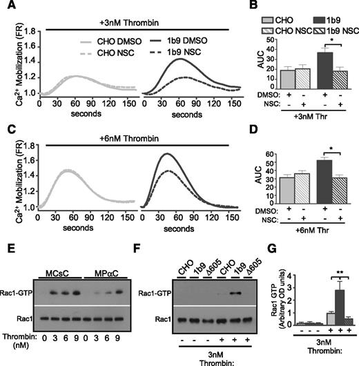 Figure 3. The GPIb-IX–dependent effect of Rac1 inhibitor NSC23766 on thrombin-induced calcium elevation. Control CHO cells and 1b9 cells were loaded with a fluorescent calcium-sensitive dye and then treated with either 0.1% dimethylsulfoxide (DMSO) or 100 μM NSC23766 (NSC). Calcium fluorescence signals of these cells were then recorded following stimulation with (A-B) 3 nM or (C-D) 6 nM thrombin. (A,C) Typical graphs of calcium elevation. (B,D) Quantitative data of A and C (mean ± SEM, 3 experiments; 1-way ANOVA). *P < .05. (E-F) Western blot analysis of levels of GTP-bound active Rac1 in thrombin-stimulated human platelets (E) pretreated with either MPαC or MCsC or in (F) control CHO cells or 1b9 cells. The amount of GTP-bound Rac1 was determined using a PAK-GST pull-down assay, followed by western blotting with an anti-Rac1 antibody. Total levels of Rac1 in platelet lysates were also determined by western blot using anti-Rac1 antibody. (G) Densitometric analysis of western blots as shown in F (mean ± SEM, 3 experiments; **P < .01, 1-way ANOVA) using National Institutes of Health Image J. The results were expressed as arbitrary units of uncalibrated optical density.