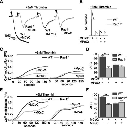 Figure 4. Comparison of thrombin-induced aggregation, ATP secretion, and calcium elevation and the inhibitory effect of MPαC between wild-type and Rac1−/− platelets. Washed wild-type or Rac1−/− platelets were pretreated with MPαC or control peptide MCsC and then analyzed for (A) aggregation, (B) ATP release, and (C-F) calcium mobilization induced by thrombin. (C,E) Typical plots of calcium mobilization. (D,F) Quantitative data from 3 experiments (mean ± SEM). **P < .01 (1-way ANOVA).