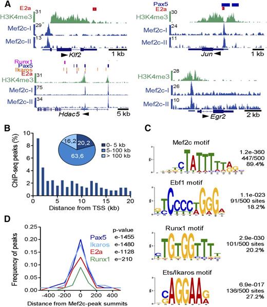 Figure 3. Genome-wide mapping of direct target genes of Mef2c identified by ChIP-seq analysis in pro-B cells. (A) Mef2c bound regions in 4 gene loci identified by peak calling. Known binding sites of E2a, Runx1, and regions with H3K4me3 determined in pro-B cells and binding sites of Pax5 and Ikaros identified in pre-B cells are shown.2,5,38,39 The UCSC Genome Browser was used to visualize binding patterns. Below, exon-intron structures of genes and a scale bar in kilobases are shown. Transcript direction is indicated by an arrow. The results of 2 ChIP-seq analyses are shown (Mef2c-I and Mef2c-II). (B) Frequency of Mef2c peaks with the indicated distance to the nearest TSS is shown. (C) Consensus sequences within 150 bp of the Mef2c-peak summits identified by de novo–motif discovery. The frequency of the motif around Mef2c peaks (n = 500) and the calculated E values are given. (D) The frequency of known E2a, Pax5, Ikaros, or Runx1 peaks2,5,38,39 within the indicated distance from Mef2c-peak summits is shown.