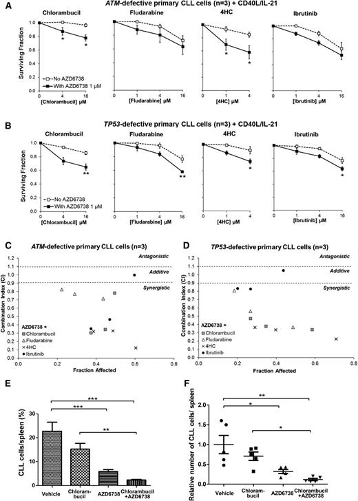 Figure 6. ATR inhibition synergizes with existing therapeutic agents both in ATM-defective and TP53-defective primary CLL cells. CFSE-labeled primary CLL cells with ATM defect (CLL22, CLL23, CLL24) (A) or TP53 defect (CLL29, CLL31, CLL32) (B) cocultured with CD40L/IL-21 were treated with chlorambucil, fludarabine, 4HC, or ibrutinib with or without coadministration of AZD6738 (1 μM). Viability was assessed after 96 hours by propidium iodide exclusion of the proliferating cell population as identified by reduction in CFSE fluorescence intensity. Surviving fraction is expressed relative to untreated controls for chemotherapy treatment alone (no AZD6738) and relative to 1 μM AZD6738 monotherapy for the cotreated samples. Addition of AZD6738 significantly enhanced sensitivity of ATM-defective primary CLL samples to chlorambucil and 4HC, and TP53-defective primary CLL samples to these therapies and also to fludarabine and ibrutinib at ≥1 dose combination. Data are displayed as mean ± SEM. Statistical significance was determined using 2-way ANOVA with Bonferroni post hoc analysis. Statistical significance vs no AZD6738 is indicated by *P < .05, **P < .01, and ***P < .001. (C-D) AZD6738 is synergistic with chlorambucil, fludarabine, 4HC, and ibrutinib in primary CLL samples with ATM (C) or TP53 (D) defect across a range of effective drug doses. CI values were calculated using the median-effect method. Each point represents the mean CI value of 3 samples plotted against the corresponding mean affected fraction that is expressed relative to untreated controls. CI <0.9 represents synergism, CI = 0.9-1.1 represents additive effect, and CI >1.1 represents antagonism. The actual values are presented in Table 2. (E-F) A primary CLL xenograft (CLL25) with a biallelic ATM defect (del(11q) and 1407I>T ATM mutation) was randomized into 4 treatment arms (n = 5 each): AZD6738, chlorambucil, AZD6738-chlorambucil cotreatment, and vehicle. AZD6738 treatment alone or in combination with chlorambucil significantly reduced tumor load relative to vehicle, and the addition of AZD6738 to chlorambucil led to a significantly greater reduction in tumor load relative to chlorambucil monotherapy. The relative number of CLL cells in panel F was normalized to vehicle-treated controls. Data are displayed as mean ± SEM. Statistical significance was determined using 2-way ANOVA with Bonferroni post hoc analysis and is indicated by *P < .05, **P < .01, and ***P < .001.