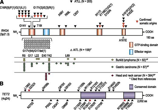 Figure 3. Distribution of RHOA and TET2 mutations in ATLL. (A) Distribution of RHOA mutations in ATLL and other cancers such as AITL,2 Burkitt lymphoma,18 gastric carcinoma,19 and head and neck cancers.20 (B) Distribution of TET2 mutations identified in ATLL is shown with triangle. Confirmed somatic mutations are marked by red triangles. Asterisk shows citations of references.