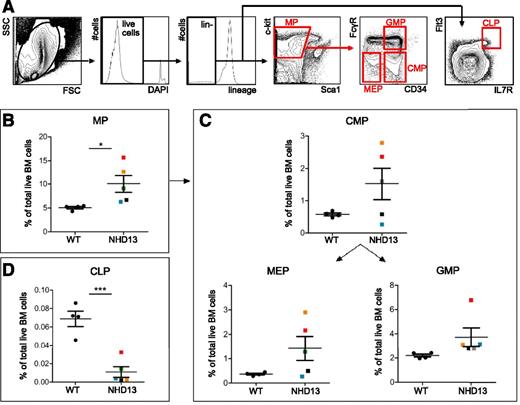 Figure 2. Heterogeneity of the phenotypic myeloid progenitor pool in NHD13 mice. Bone marrow (BM) was harvested from 25-week-old male and female NHD13 (n = 5) and WT (n = 4) littermates via the crushing technique. BM was analyzed for progenitor frequencies via flow cytometry. (A) Representative flow cytometric gating schema on the whole BM from a 25-week-old WT mouse in which common lymphoid progenitors (CLPs) (Lin−/Flt3+/IL7R+) and myeloid progenitors (MPs) (Lin−/c-Kit+/Sca1−) are a subset of the lineage-negative (live) cell population, the latter of which can be divided into common myeloid progenitors (CMPs) (FcγR−/CD34+), megakaryocyte-erythrocyte progenitors (MEPs) (FcγR−/CD34−), and granulocyte-macrophage progenitors (GMPs) (FcγR+/CD34+). (B-D) Quantification of progenitor populations in WT compared with NHD13 littermates. In all graphs, each dot represents an individual mouse, and color denotes the same individual mouse in each gate. *P < .05; ***P < .001.