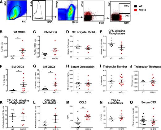 Figure 5. Expansion of multipotent stromal and OBCs in NHD13 mice that are nonfunctional. (A) Flow cytometry gating strategy used to identify BM Lin−/CD45− nonhematopoietic cells, Lin−/CD45−/CD31−/CD51+/Sca1− OBCs, and Lin−/CD45−/CD31−/CD51+/Sca1+ MSCs. The first 3 plots represent WT mice, and the last 2 plots show overlay of populations from concatenated NHD13 (red) and WT mice (black) data. (B-C) Frequency of MSCs within total BM pool (B) and Lin−/CD45− nonhematopoietic pool (C) of NHD13 and WT mice. (D-E) Number of total CFU fibroblasts (identified by staining with crystal violet) (D) and alkaline phosphatase–positive CFU fibroblasts (E) from 1 × 106 BM cells after 10 to 14 days in culture. Data from 2 separate experiments and NHD13 data points represent mean of triplicate cultures normalized to mean of WT group. (F-G) Frequency of OBCs within total BM pool (F) and Lin−/CD45− nonhematopoietic pool (G) of NHD13 and WT mice. (H) Peripheral blood serum osteocalcin levels measured by enzyme-linked immunosorbent assay. (I-J) Femoral trabecular number (I) and thickness (J) as measured by micro–computed tomography. (K-L) Number of alkaline phosphatase–positive CFU-OBs (K) and Von Kossa–positive bone nodules (L) formed by 4 × 106 BM cells after 17 days of culture in mineralization media. Each data point represents mean number of CFU-OBs from triplicate cultures. (M) Peripheral blood serum CCL3 levels measured by Luminex xMAP assay. (N) Number of histologically identified osteoclasts as TRAP+ endosteal-associated cells. (O) Peripheral blood serum C-telopeptides (CTX) levels measured by enzyme-linked immunosorbent assay. All mice used in analyses are 20 ± 3 weeks of age. For all graphs, *P < .05; **P < .01; mean and standard error of the mean are shown.